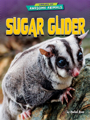 cover image of Sugar Glider